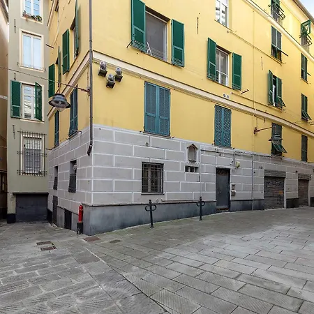 Experience * Genua